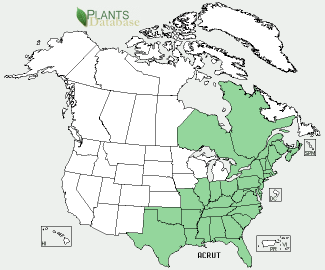 The native range of Acer rubrum var. trilobum